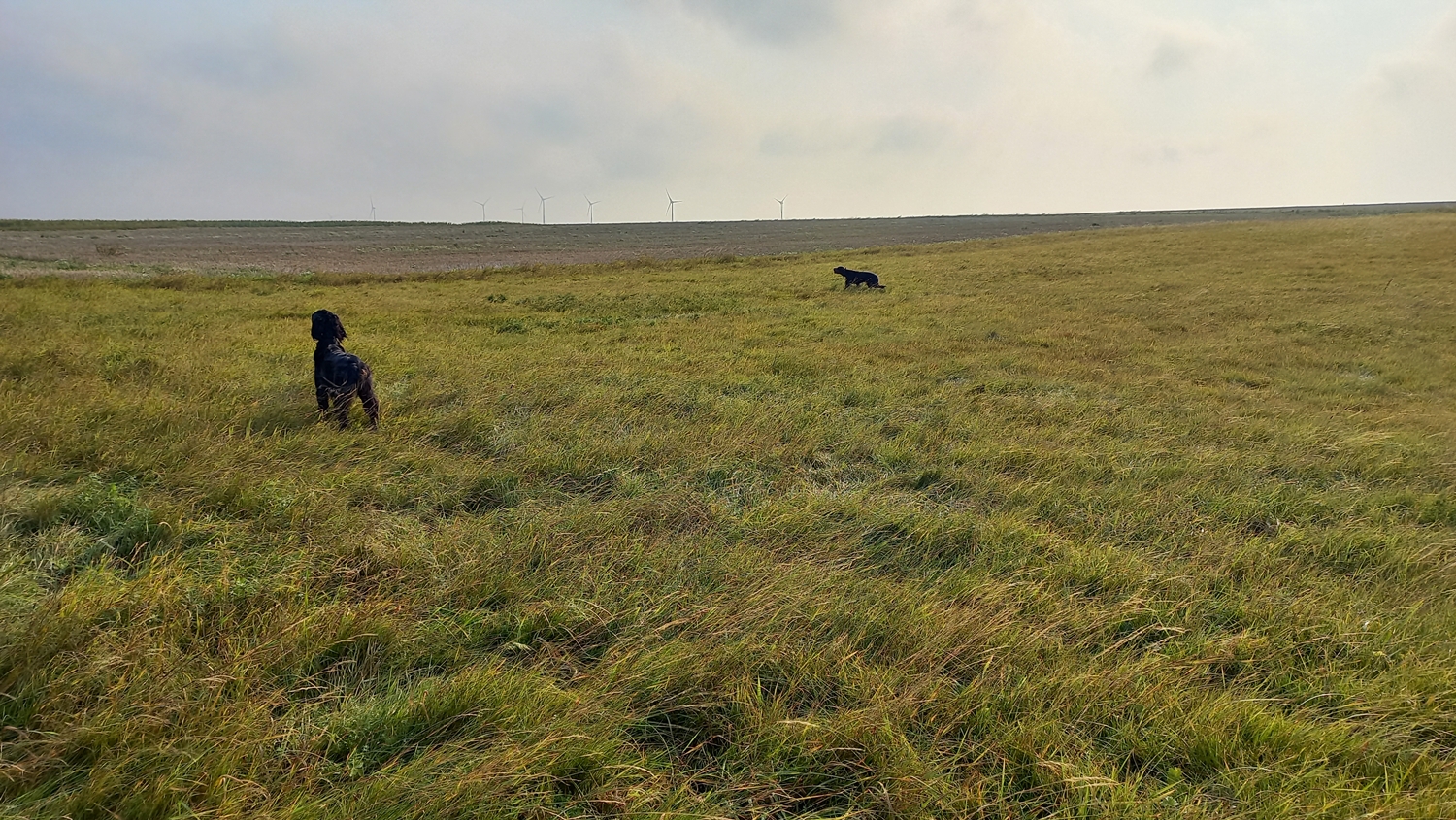 Hella und Ira vom Marburger Land