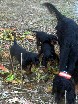 Mama, warte auf uns!