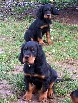Apollo vorn, dahinter Amelie