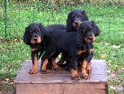 Apollo links, Alaska rechts und dahinter Astor