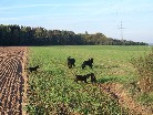 Wieder einmal ein Ausflug ins Feld