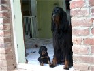 Alaska und Tochter rot