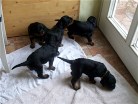 Mama ist einfach ohne uns rausgegangen!
