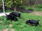neue Gegend erkunden