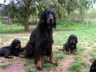 Alaska mit den Jungs: Buddy links und Barry