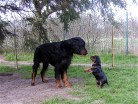 Papa spiel mit mir!