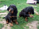 Bess wundert sich und Barry macht Unfug