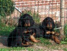 Buddy links und Bianca
