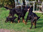 Hemingway, Siva und Barry