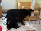 wie praktisch, Alaska hat eine Kopfstütze