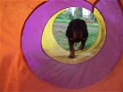 Bonnie im Tunnel