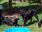 die Jungs Barry links und Buddy kämpfen mit Siva um das Seil