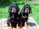 Bonnie links und Bianca