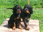 Bianca links und Barry