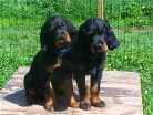 Bianca links und Barry