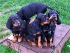 4 auf der Höhe