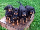 4 auf der Höhe