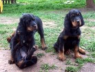 Barry macht Bianca platt, rechts sitzt Bonnie