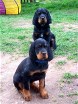 Barry oben und Bianca