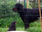 oh, soo groß möchte ich auch mal werden... Barry und Astor