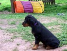 Bonnie als Vorsitzende