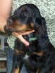 Barry
