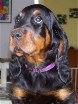 Bonnie