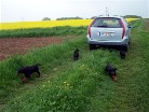 die erste Autofahrt ins Feld