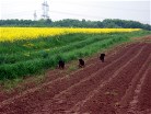 der Rückweg ist weit