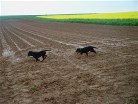 Bonnie links und Bianca