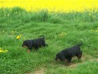 Bianca und Barry