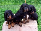 gleich rutscht sie runter: Bianca links mit den Brüdern Barry und Buddy
