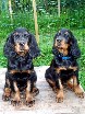 Buddy und Bianca