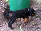 Barry, dahinter Bianca