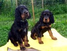 Barry und Bianca