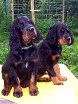 Barry und Bianca