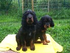 Barry und Bianca