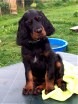 Barry