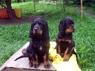 Barry und Bianca