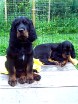 Barry und Bianca