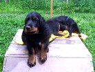 Barry und Bianca