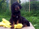 Barry und Bianca