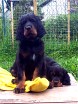 Barry und Bianca