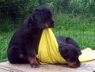 und jetzt packe ich meine Schwester ein und nehme sie mit!