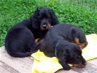 Barry und Bianca