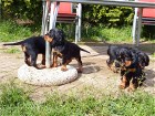 alle 4 auf der Terrasse