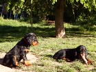 Carlo und Cary mit Spielzeug