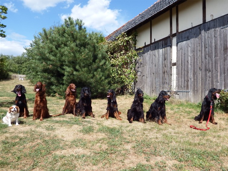 Welpen-Besuch