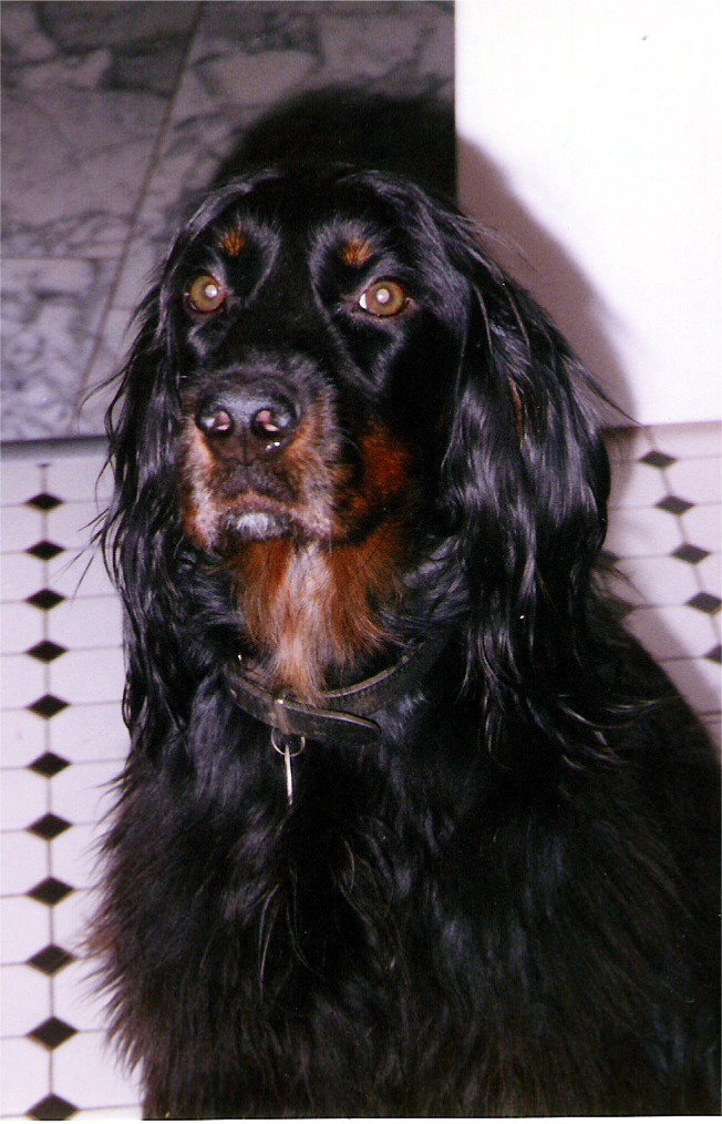 Sheila