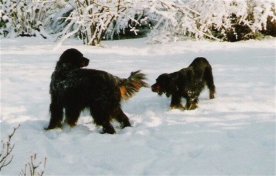 Sheila links und Julchen